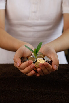 Green Plant Growing from Coins in Cupped Hands - Financial Growth and Investment Concept