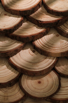 Natural Wood Cross-Section Slices with Annual Growth Rings and Bark Edge for Rustic Crafts