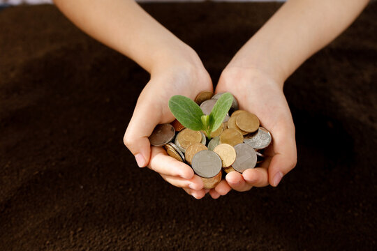 Hands Holding Coins with Green Plant Growth Financial Investment Wealth Management Concept