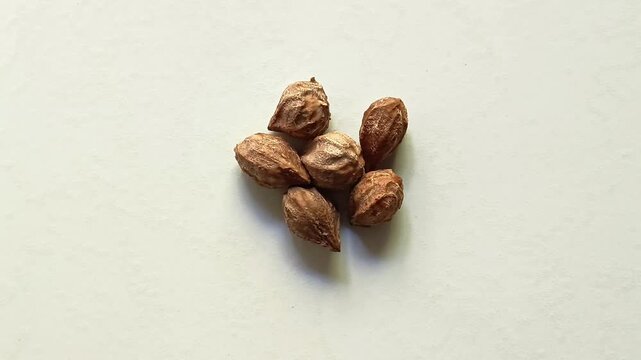 Top view studio shot of a small group of dry organic hicaco seeds or Chrysobalanus icaco endocarps isolated on white background from Guatemala.