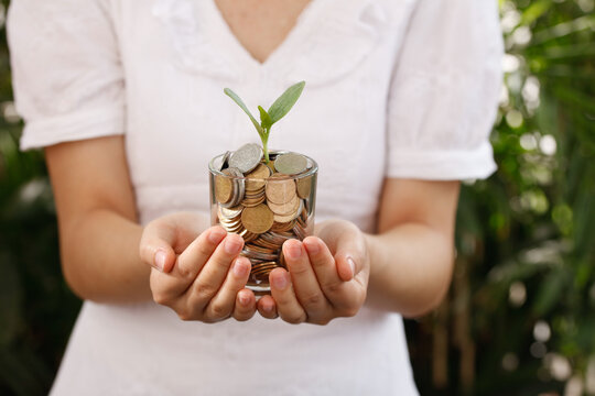 Financial Growth Concept - Hands Holding Coins with Plant Sprout Symbolizing Investment and Wealth Management Success