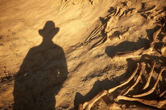shadow of man over extinct animal bones