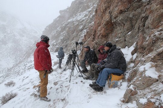 team of scientists documenting snow leopard movements