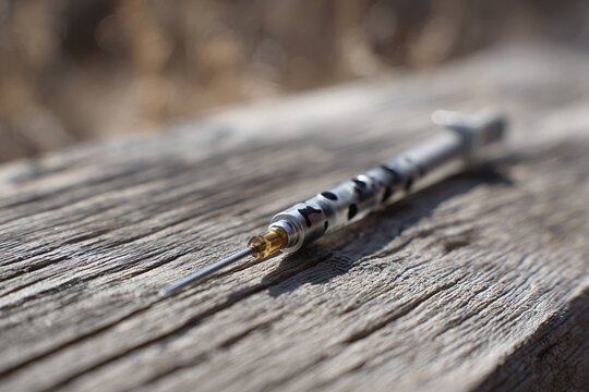 tranquilizer dart used for non-lethal animal study