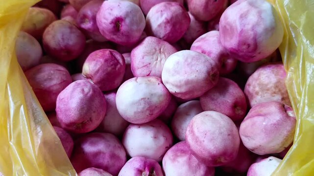 Close up shot of a yellow plastic bag full of local fresh organic ripe pink hicaco fruits or Chrysobalanus icaco from Guatemala.
