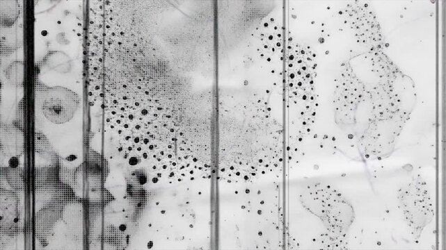 Animated White Halftone Dot Grunge Texture Background Overlay Loop with vintage paper scratches and noise grain.