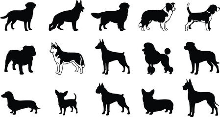 Popular dog breeds vector silhouette icon set featuring labrador german shepherd golden retriever bulldog husky poodle and dachshund shapes © MdAbulkalam