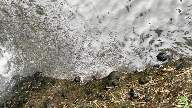 The surface texture of turbulent river water full of white foam and bubbles caused by heavy currents between natural rocks.