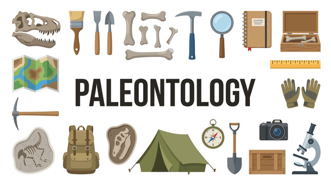 An extensive collection of essential equipment and fascinating fossil discoveries for paleontological exploration, depicting the scientific study of ancient life forms