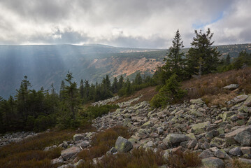 Mountain boulder field with conifers and clouds in Krkonose © Milan