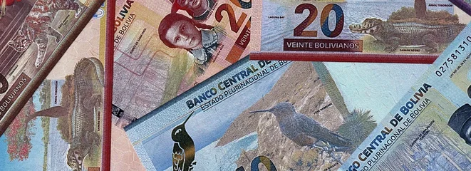 Bolivian boliviano money bills in pile. Big amount of Bolivia BOB currency cash close up © Viktor