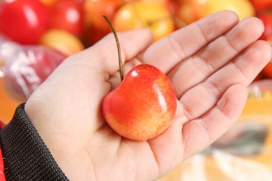 Fresh Golden Rainier Cherry in Hand - Premium Imported Chilean Fruit with Red Yellow Background