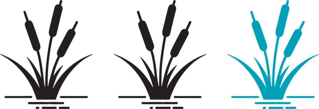 Reed plant icon set featuring cattail marsh grass and wetland nature symbols in outline and solid silhouette vector styles for botanical, ecological and landscape design concepts.
