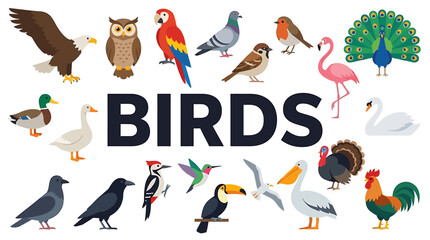 Fototapeta premium Collection of diverse avian species featuring various colorful bird characters arranged in a decorative set for educational wildlife design purposes