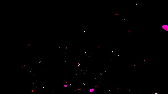 Abstract animation of falling flower petals in romantic red and pink colors isolated on black background for wedding and love themed motion graphics