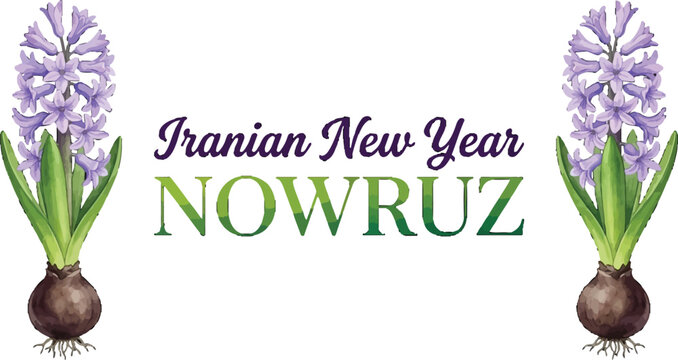 Nowruz greeting card design with watercolor hyacinth flowers and spring holiday typography on white background vector illustration
