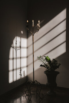 Candelabra Shadows
