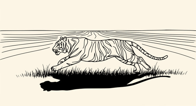 Tiger running through dry field, illustration, black and white, dynamic movement, wild animal