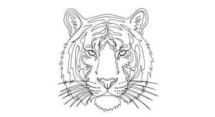 Tiger Face Line Art - Minimalist Wild Animal Portrait, Vector Illustration © illustration