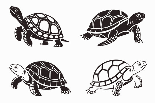 Four black and white turtle illustrations