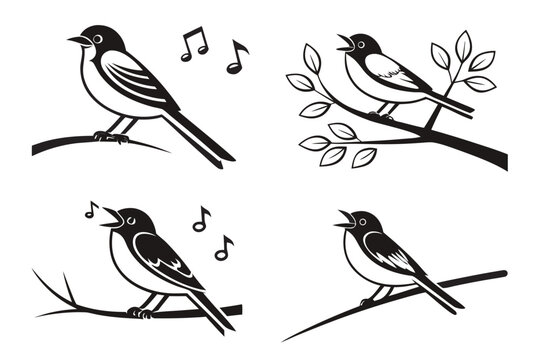 Birds singing on branches