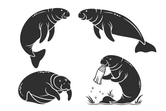 Manatee vector illustrations set