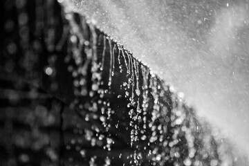 Black and White Close-Up of Water Droplets Cascading Over Edge in Artistic Motion ©  2026stockx