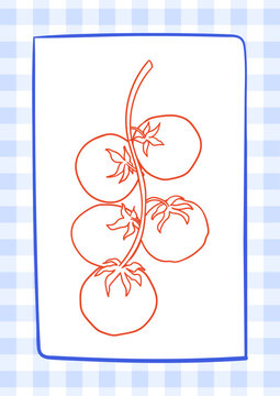 Poster with hand drawn line illustration of tomato branch on frame and checkered vichy backgrdound. Vector illustration in vintage sketch style