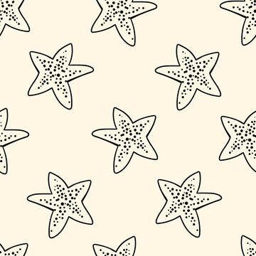 Seamless pattern with hand drawn star shells. Summer marine vector background in vintage sketch style