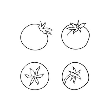 Set of tomatoes. Vector line hand drawn illustration. Doodle sketch style