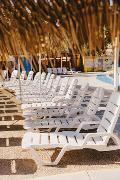 Resort Chairs