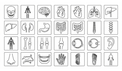 Fototapeta premium Human anatomy systems and body parts editable line icon set vector isolated on white background