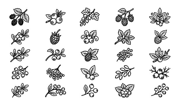 Hand Drawn Berry Collection Featuring Strawberry Raspberry Blueberry Blackberry and Botanical Fruit Outline Illustrations