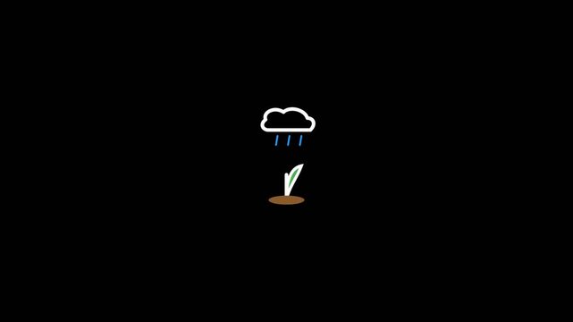 Minimalist digital animation showing a small green sprout receiving gentle rain from a fluffy white cloud in motion video clip