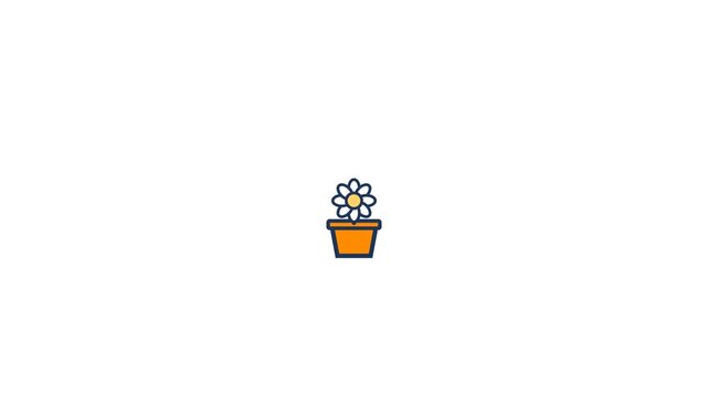Simple potted daisy flower icon animation featuring bold outline strokes with vibrant orange and yellow colors in motion video clip