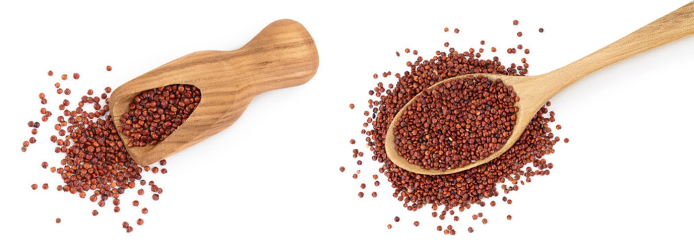 red quinoa seeds in wooden scoop and spoon isolated on white background with full depth of field. Top view. Flat lay