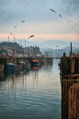 Fototapeta premium Sitka Harbor Scene: Docks, Fishing Boats, and Mountain Backdrop