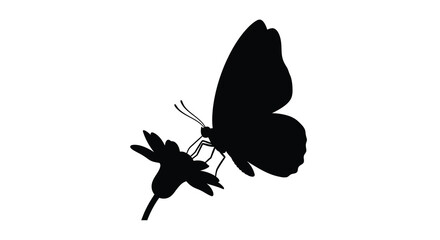 Black silhouette of a butterfly perched on a flower against a white background silhouette insect lepidoptera wings blossom flora plant © Moriom