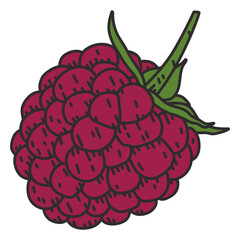 Obraz premium Bunch of grapes color stroke