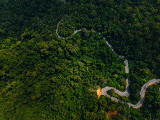 Naklejka premium Aerial view of serpentine road cutting through lush forest