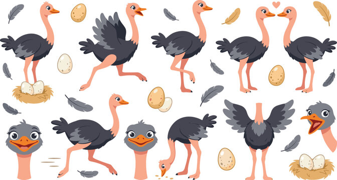 Cute cartoon ostrich vector illustration character set with funny birds running, standing in nest with eggs, dancing, eating, and showing various emotions.