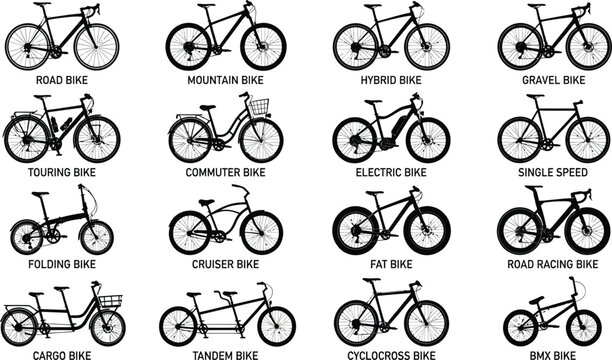 Comprehensive Bicycle Types Vector Illustration Set Featuring Road Mountain Electric BMX Hybrid Touring and Cargo Bike Collection