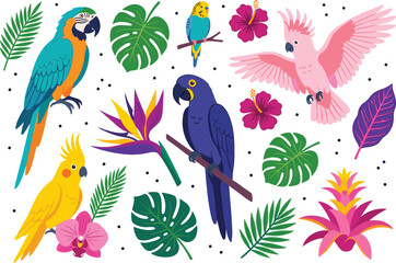 Exotic tropical birds vector illustration set featuring colorful macaw parrot cockatoo and parakeet characters with monstera palm leaves and jungle flowers © Rumi