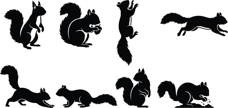 Black squirrel silhouettes set in different poses isolated on white background vector illustration