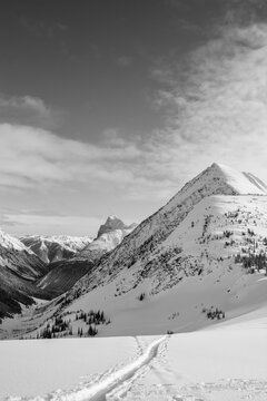 Black and white ski touring tracks leading toward dramatic snow-covered alpine ridge and mountain peaks in Glacier National Park, British Columbia, Canada