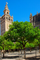 Obraz premium atreet near cathedral, Seville, Spain