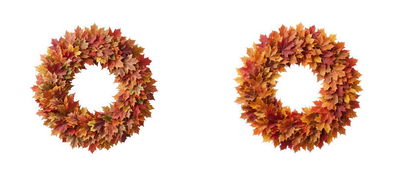 Set of two lush autumn wreaths made of colorful maple leaves isolated on transparent background