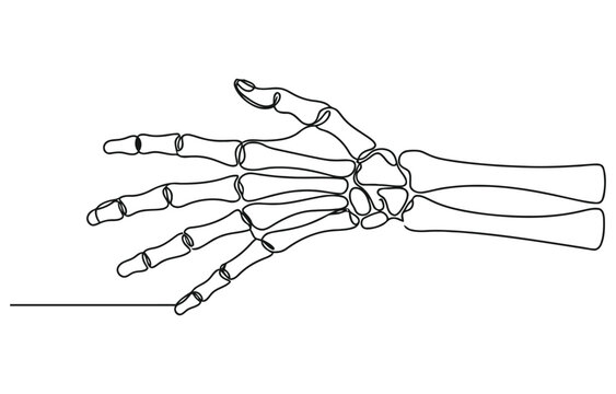 Continuous line drawing of hand skeleton, Black and white vector minimalist illustration.