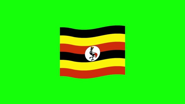 Animated Waving Flag of Uganda Flat Vector Icon on Green Screen 4K Loop