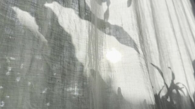 Warm sunlight filtering through sheer linen curtains with soft plant shadows. Elegant horizontal background for luxury branding, wellness, beauty, hospitality, interiors, and lifestyle.